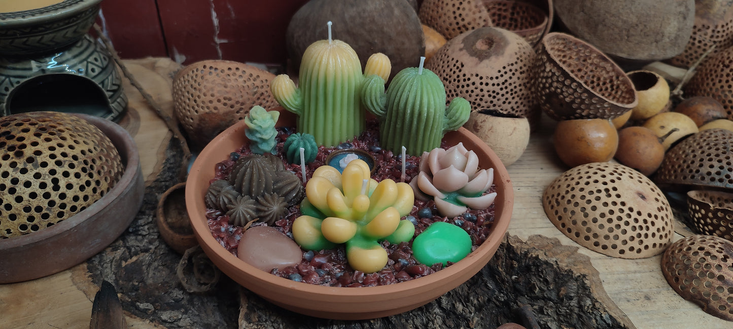 Cactus garden