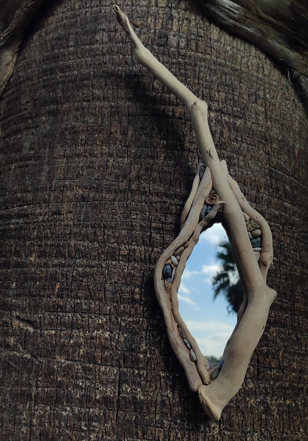 Raw Nature Driftwood Mirror
