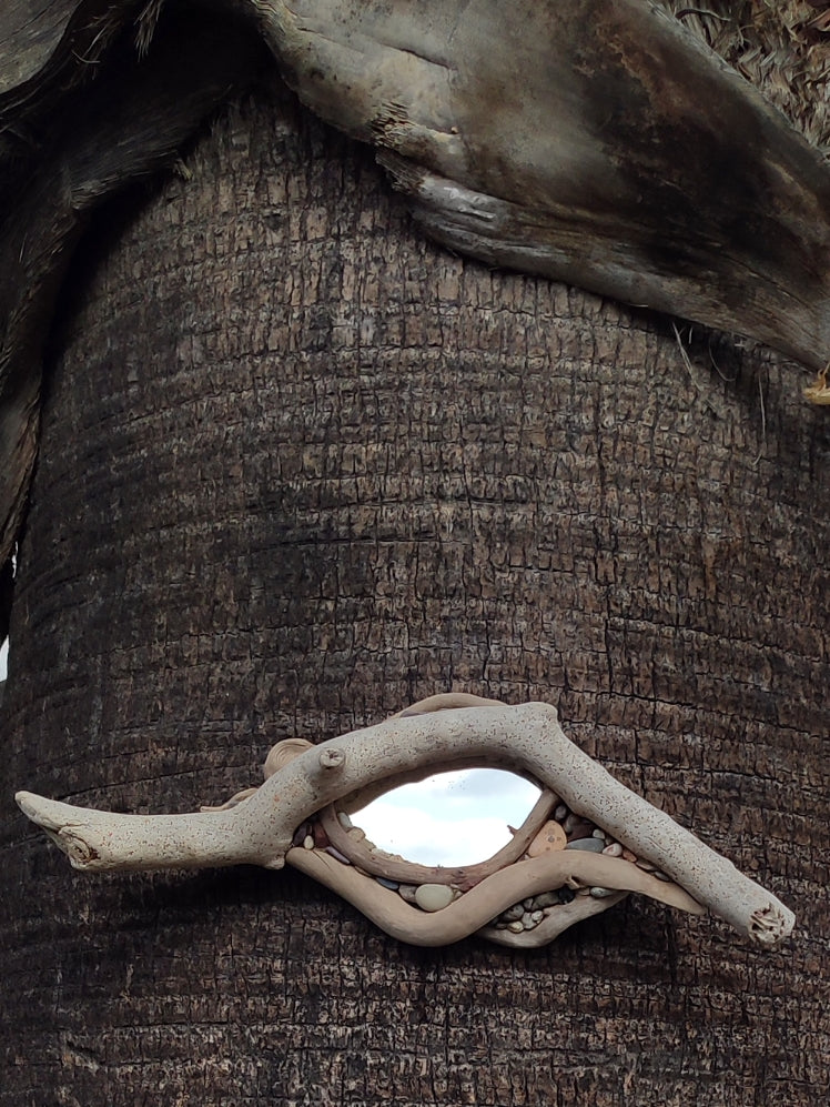 Organic Flow Driftwood Mirror