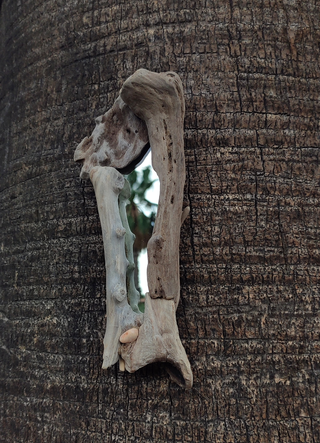 Bone driftwood mirror