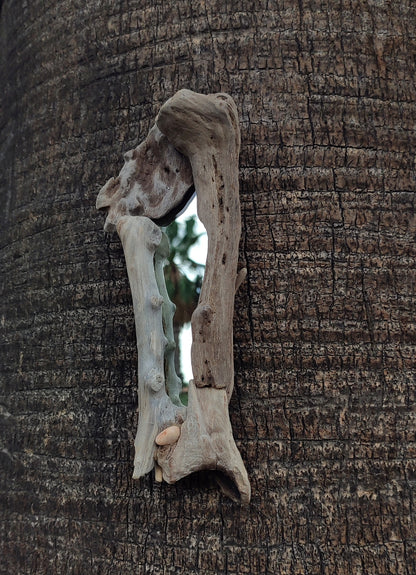 Bone driftwood mirror