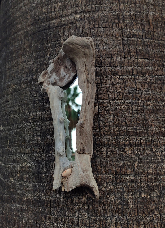 Bone driftwood mirror