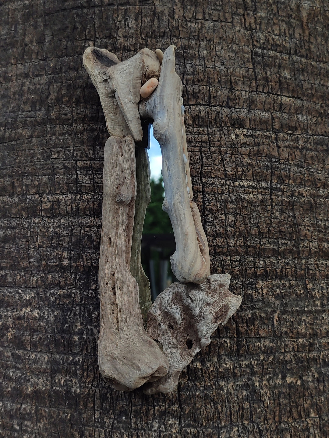 Bone driftwood mirror