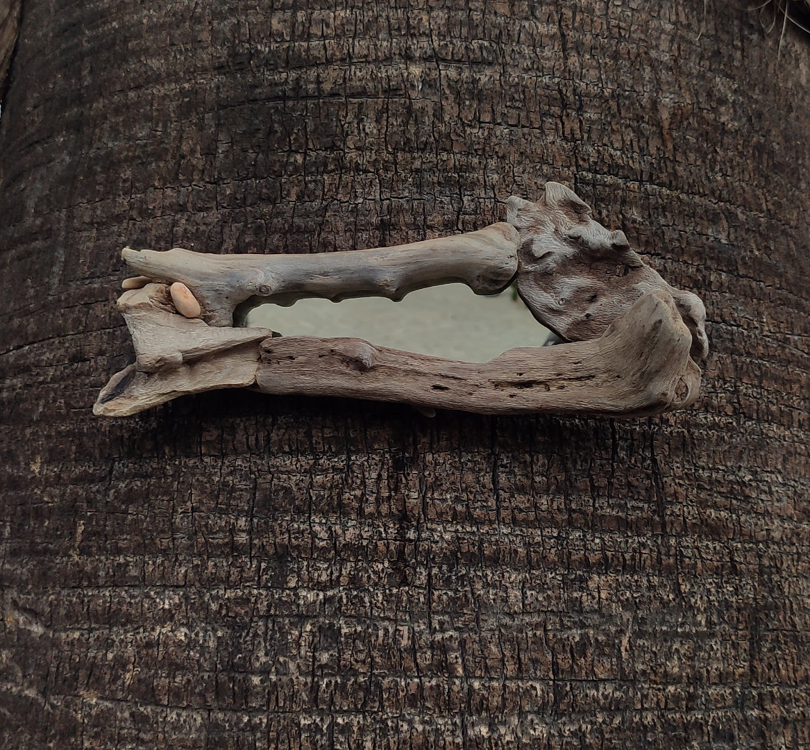 Bone driftwood mirror