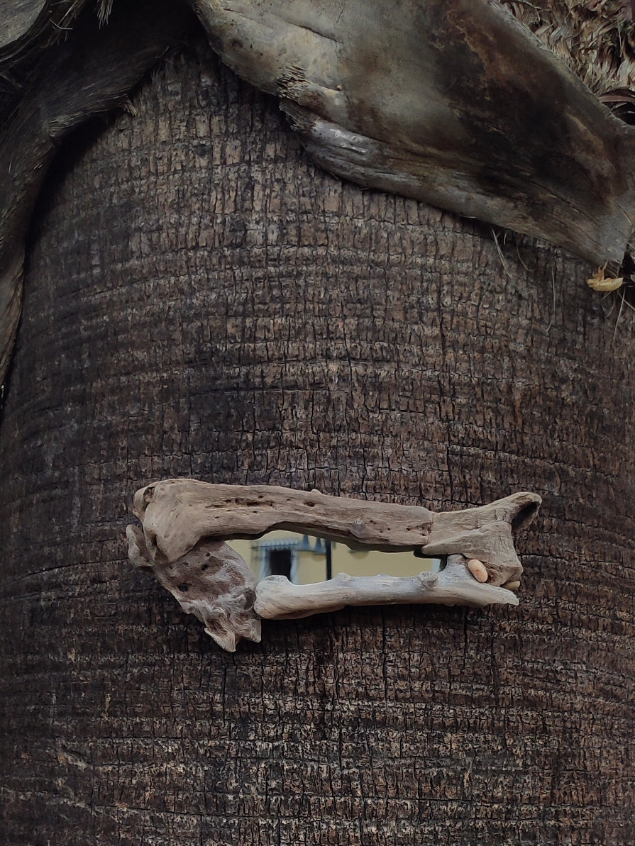Bone driftwood mirror
