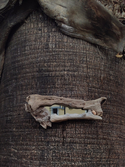 Bone driftwood mirror
