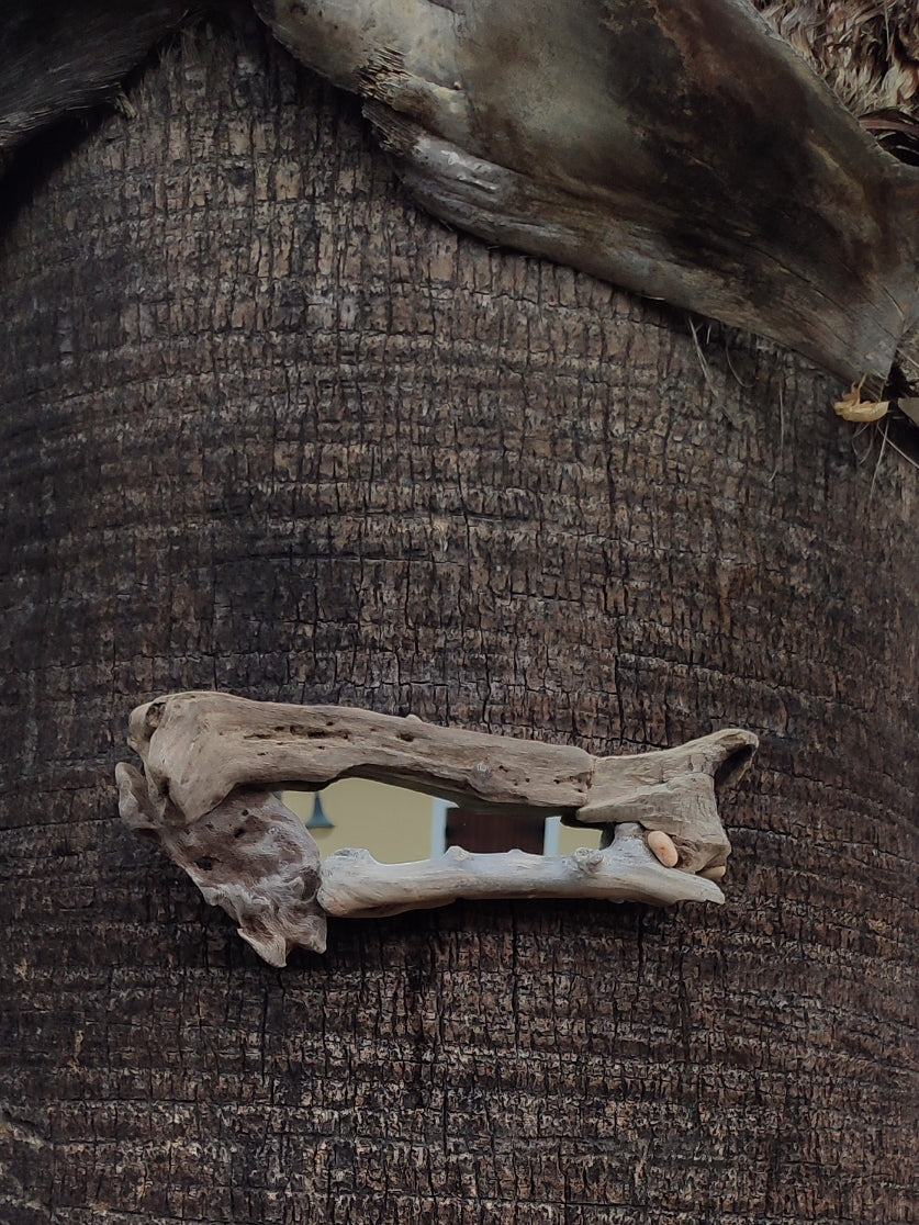 Bone driftwood mirror