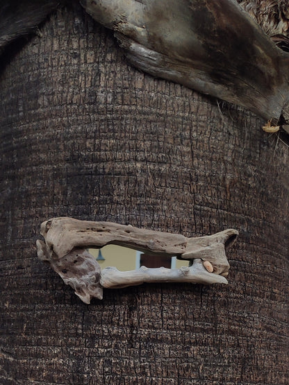 Bone driftwood mirror