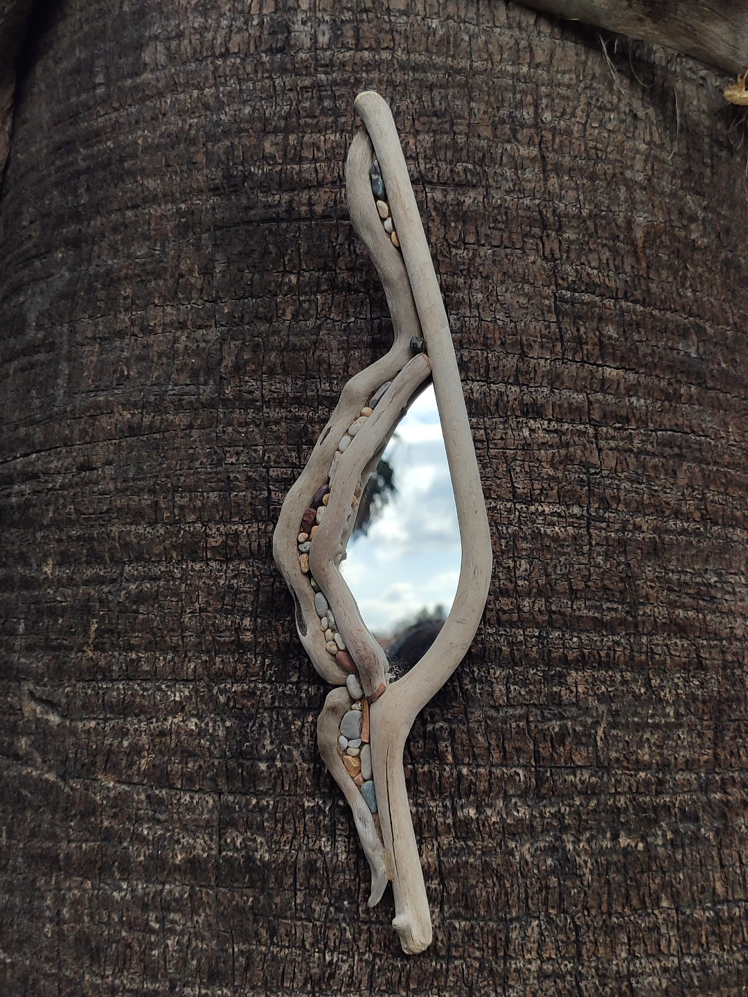 Free form Driftwood wall art