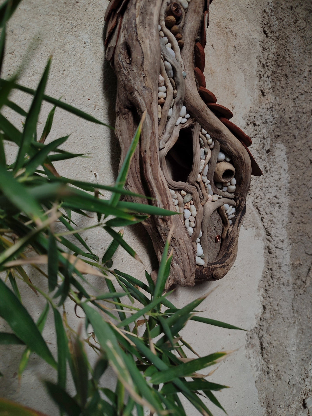 Curvy driftwood house